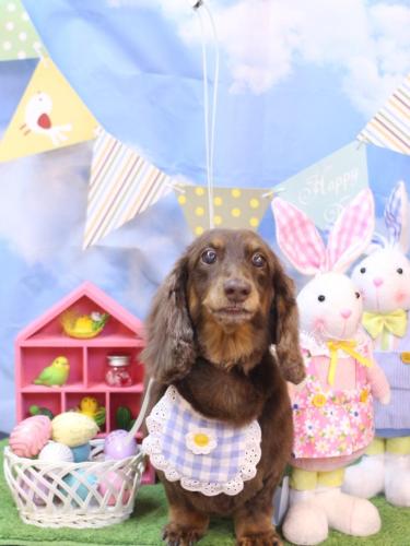 20240323ジョナくん